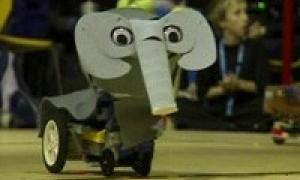 В Австралії відбувся фінал Чемпіонату світу RoboCup