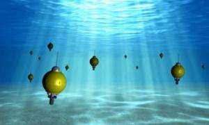 Зграя американських роботів відправиться досліджувати океан