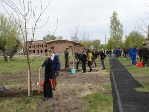 Волинські рятувальники з брестськими та польськими колегами заклали Алею Дружби