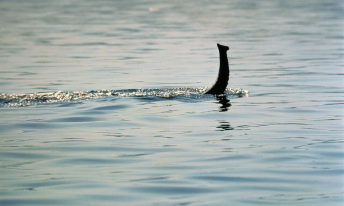 Туристи на британському озері бачили 15-метрового монстра	