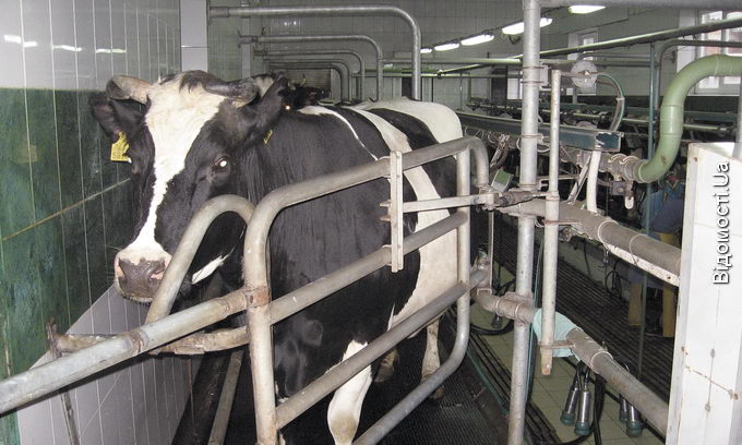 Андрій Турак:
Наповнити ринок якісним молоком можна шляхом будівництва сучасних міні-заводів