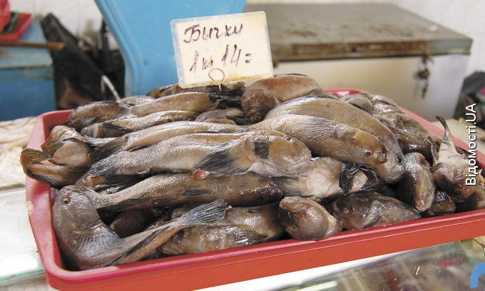 Чи безпечна риба з Азовського моря?