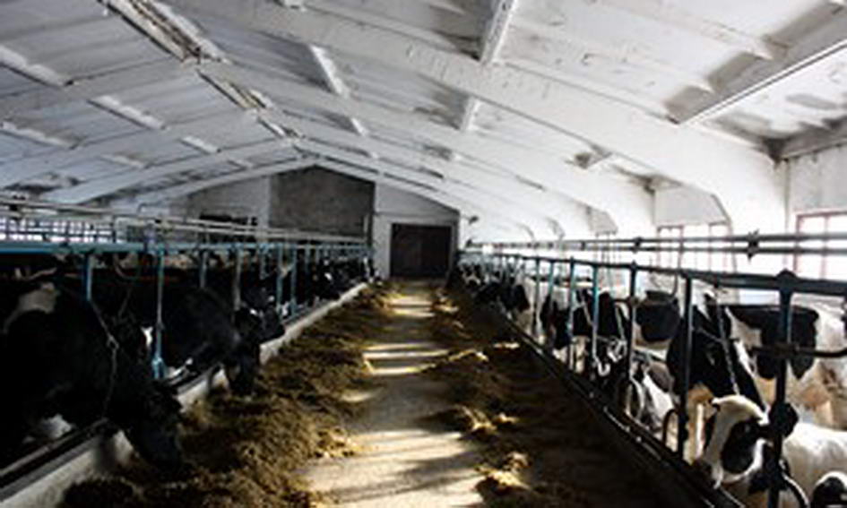 У Горохівському районі реконструювали молочно-товарну ферму