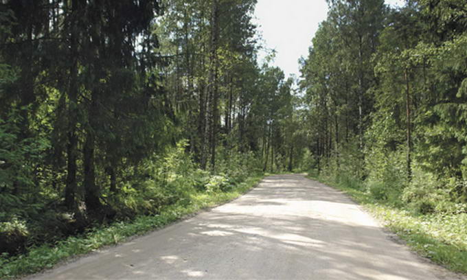 На Волині збудували ще 18 км лісових доріг