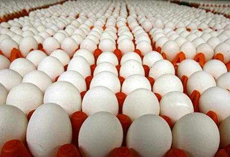 Ізраїль призупинив закупівлю яєць в Україні