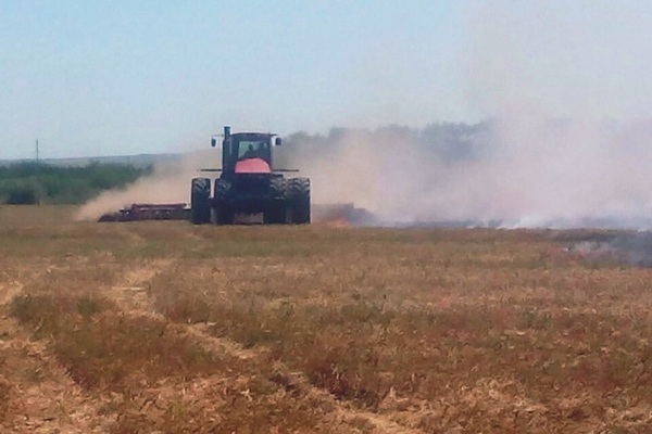 У Тернопільській області ледь не згоріли 20 га гороху