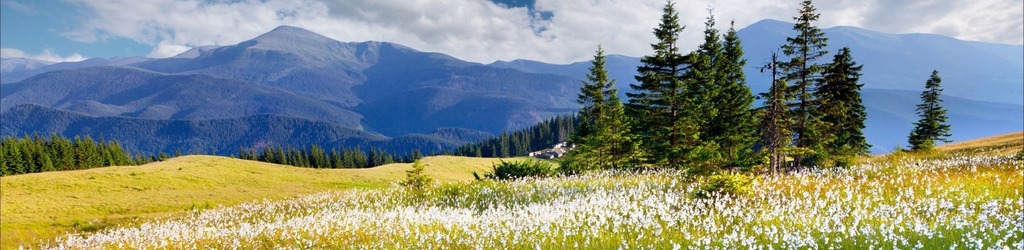 На Франківщині в горах заблукала пенсіонерка