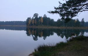 З’явились результати моніторингу водойм Волинської  області