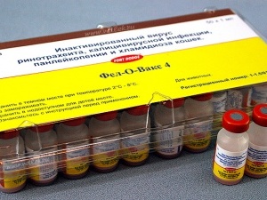 Вакцинація дітей у світі cягає рекордного рівня, але не всі країни мають рівний доступ до вакцин