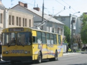 Волинську облраду пікетували луцькі тролейбусники