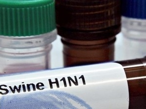 В Україні немає вакцини від свинячого грипу