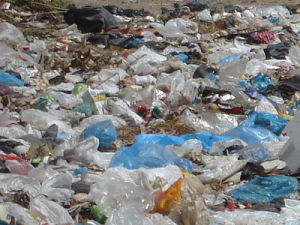 Несанкціоновані сміттєзвалища множаться на Волині