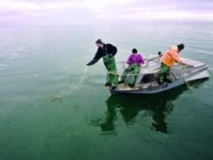 З 1 квітня на водоймах Волині заборонено рибальство через нерестовий період
